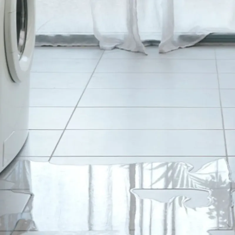 Appliance Leak Cleanup in Palmyra, NY